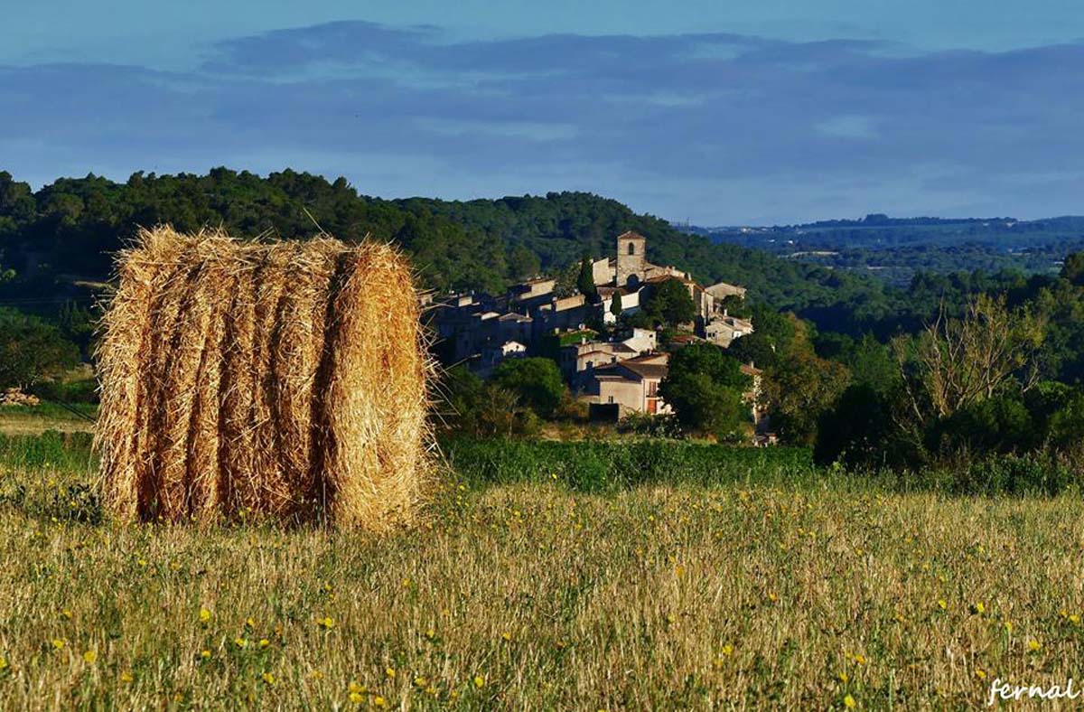 Balade en Montagne Noire