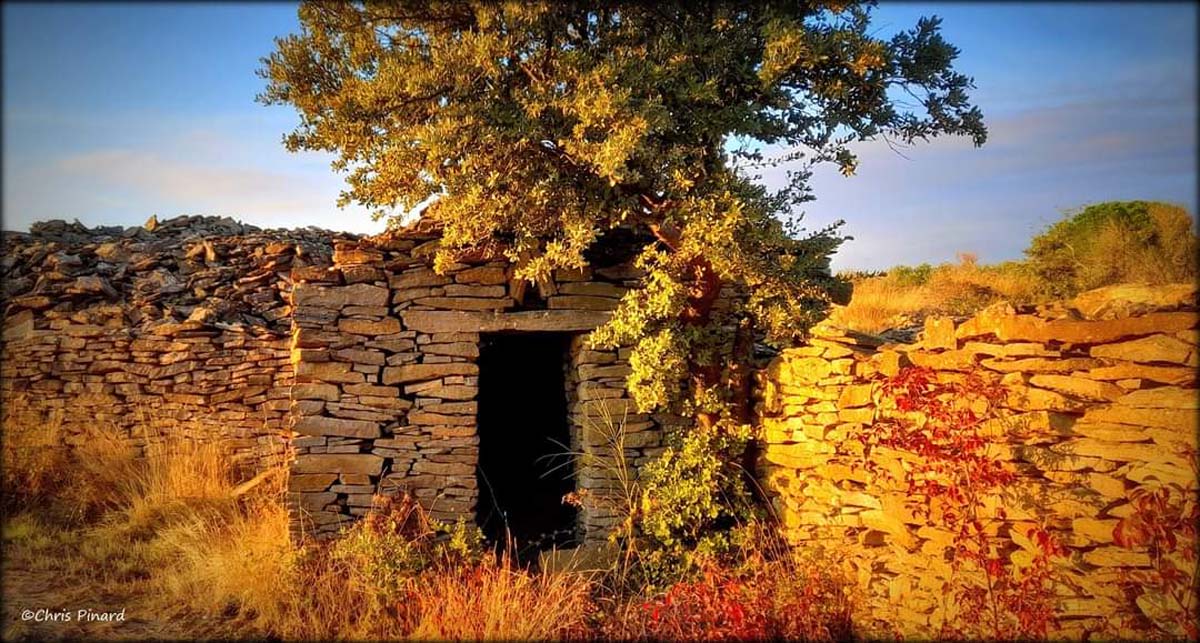 Balades dans les vignes au coeur des Capitelle