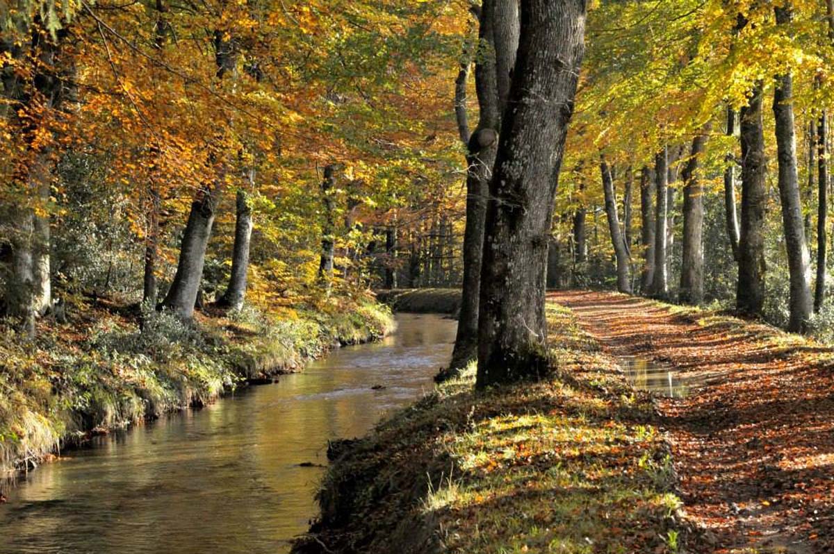 Canal du midi