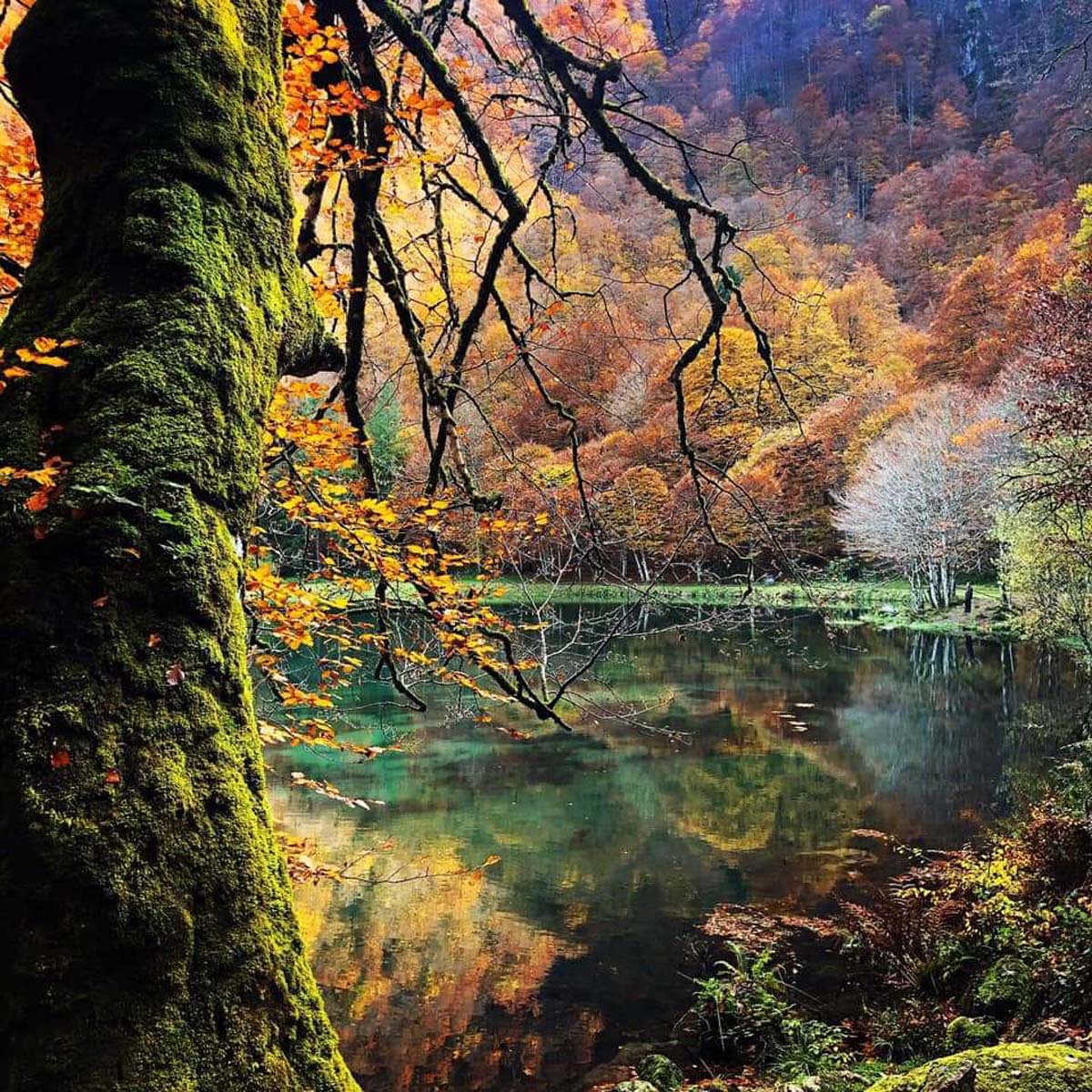 Lac d'automne