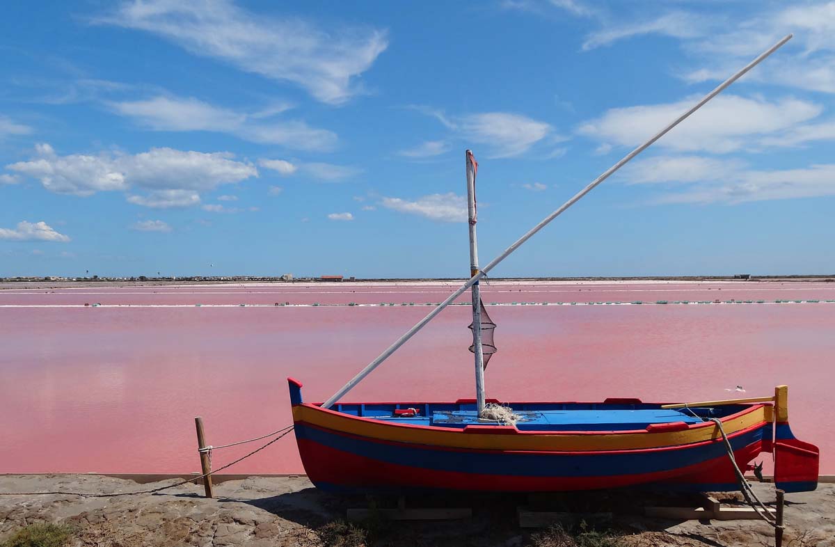 Les salins