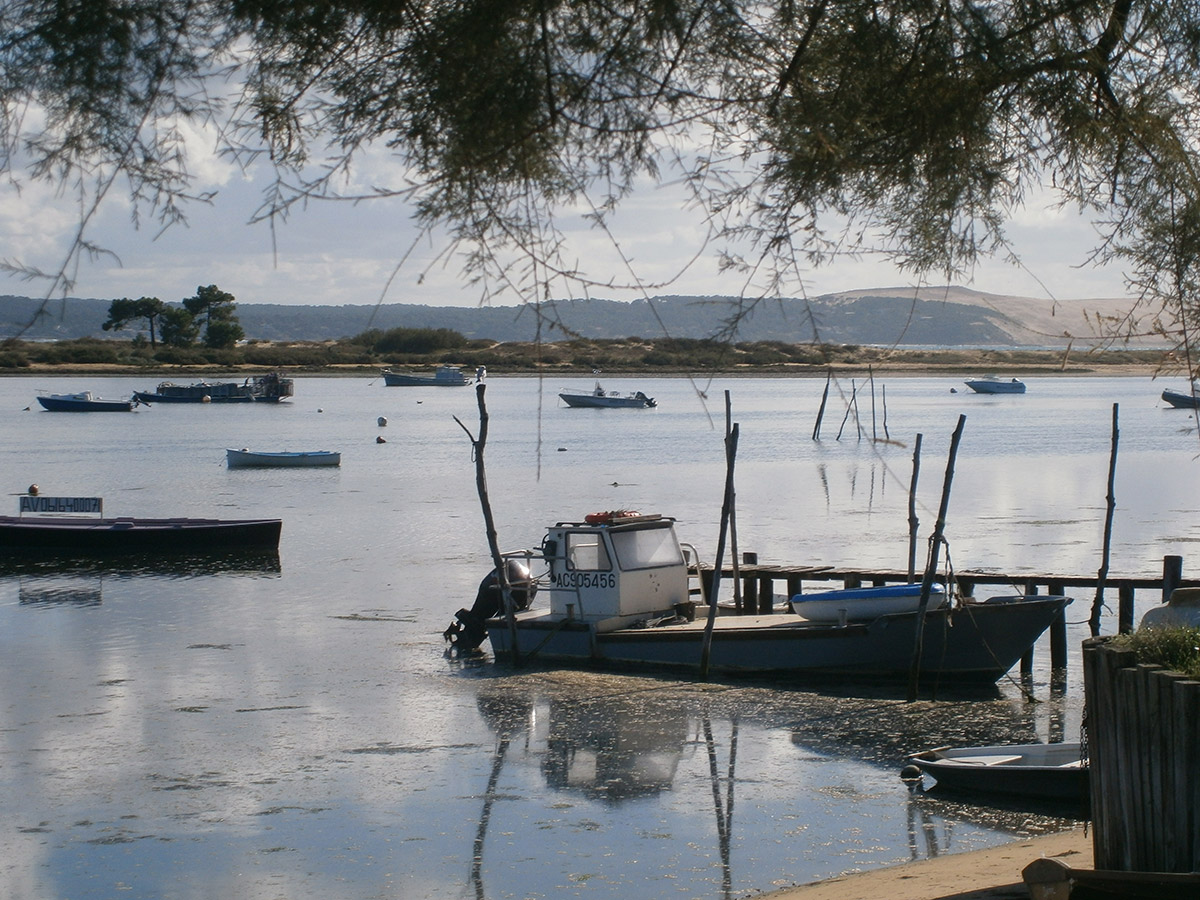 Petit bateau sur l'eau